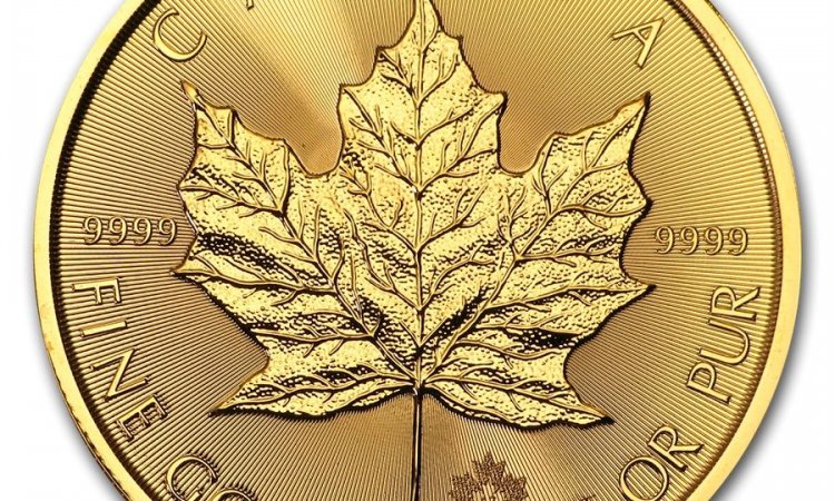 Maple Leaf 1 Once d'or fin